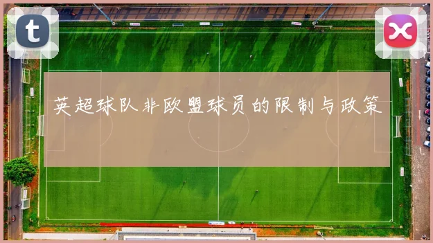 英超球队非欧盟球员的限制与政策