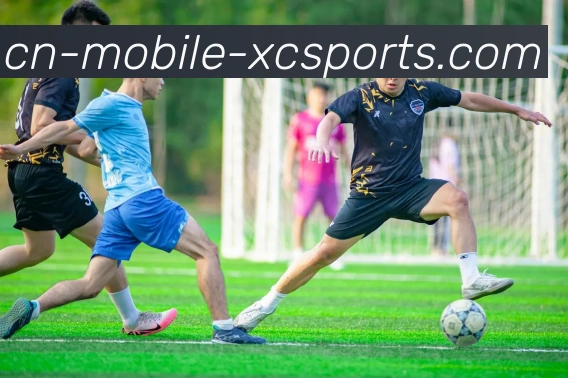 杏彩体育APP 高清赛事图